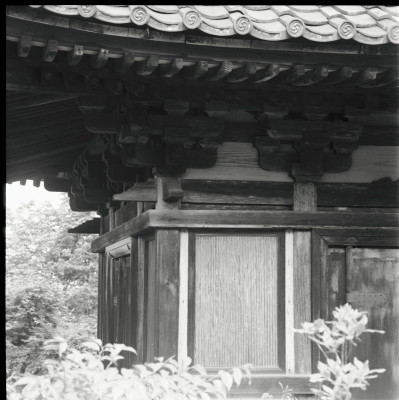 knd_25315()