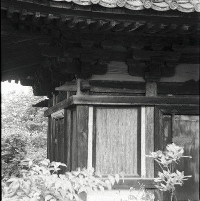 knd_25316()