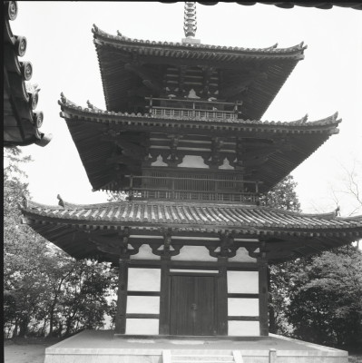 knd_25440()