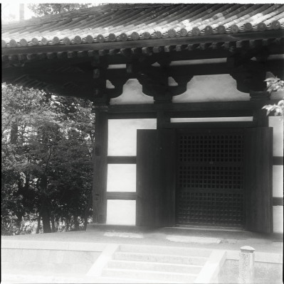 knd_25447()