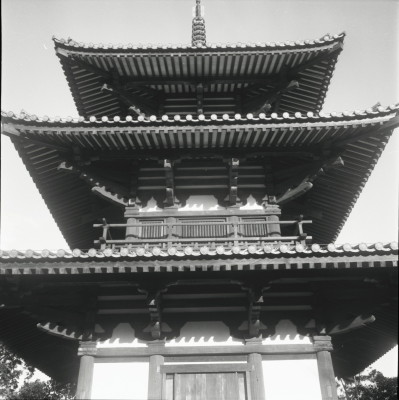 knd_25509()