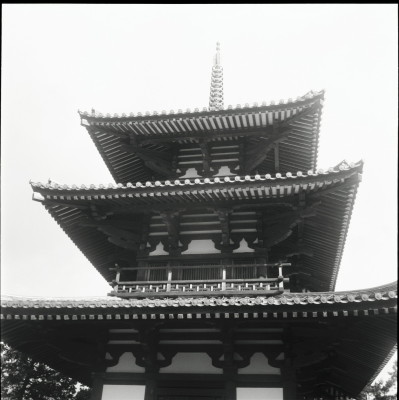 knd_25516()