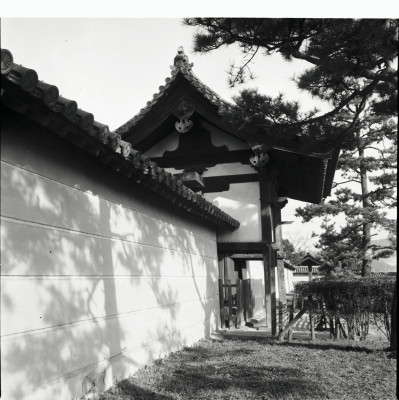 knd_25953()