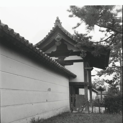 knd_25955()