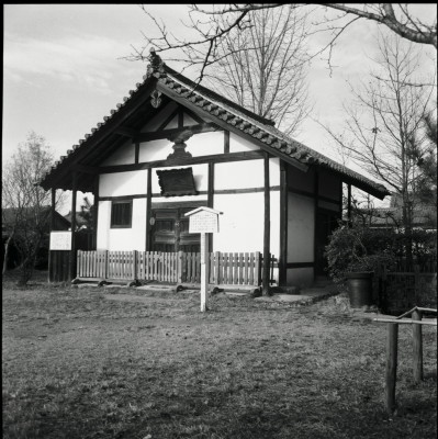 knd_25971()