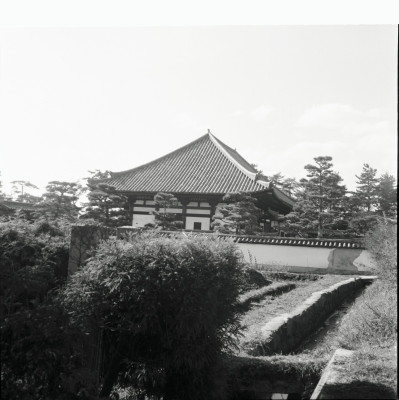 knd_25974()