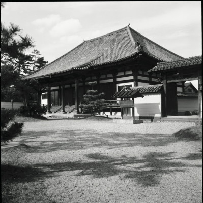 knd_25977()
