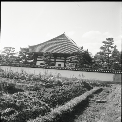 knd_25987()