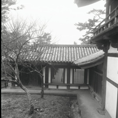 knd_26029()