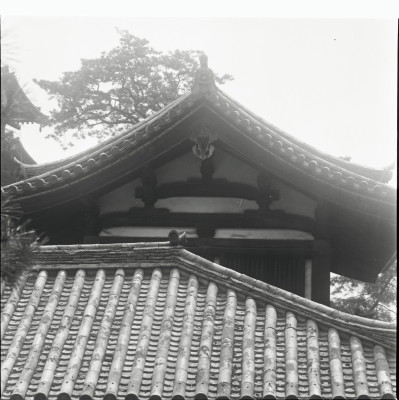 knd_26061()