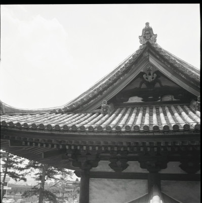 knd_26104()