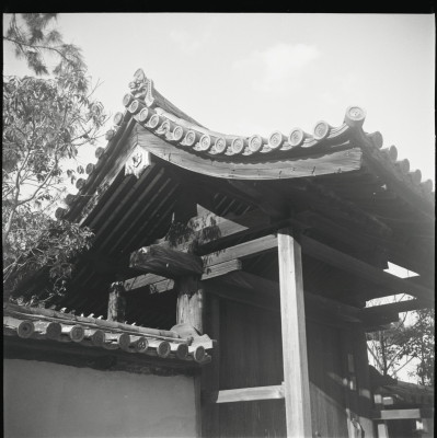 knd_26167()