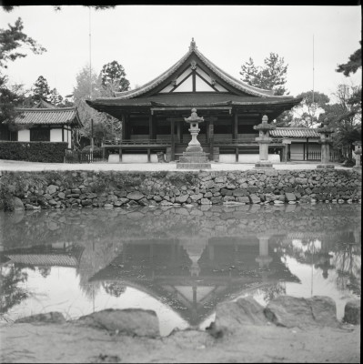 knd_26175()