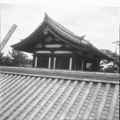knd_26214()
