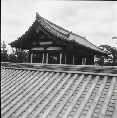 knd_26215()