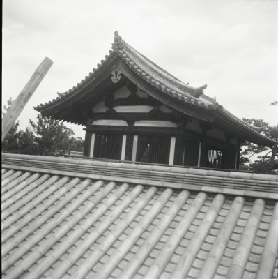 knd_26217()