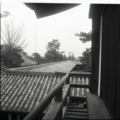 knd_26220()