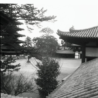 knd_26228()