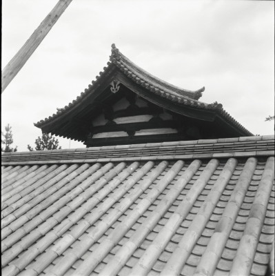 knd_26231()