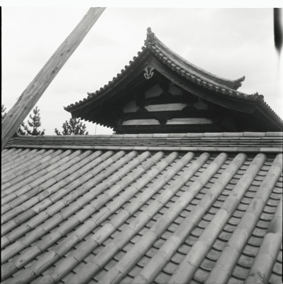 knd_26232()