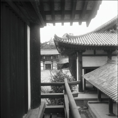 knd_26241()