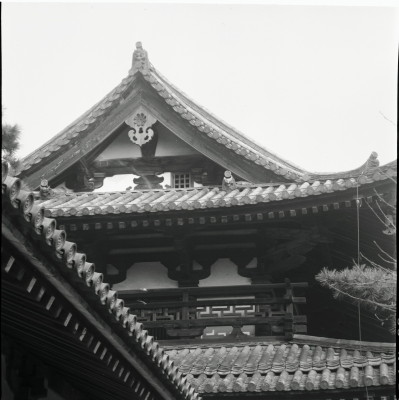 knd_26248()