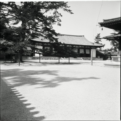 knd_26254()
