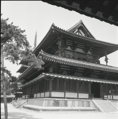 knd_26291()