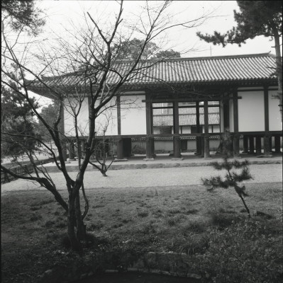 knd_26323()