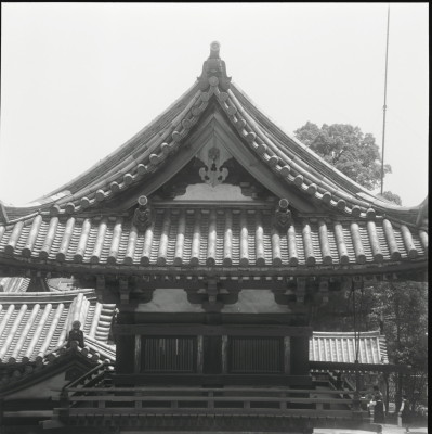 knd_26365()