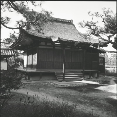 knd_26458()