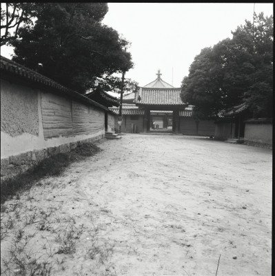 knd_26459()