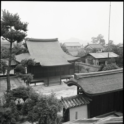 knd_26598()