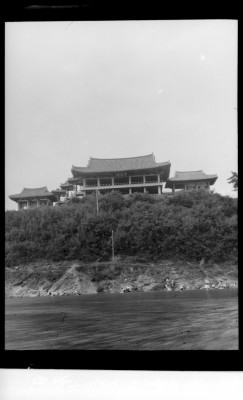 knd_01036()