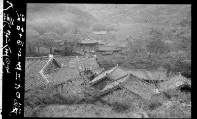 knd_01048()