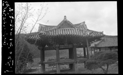 knd_01076()