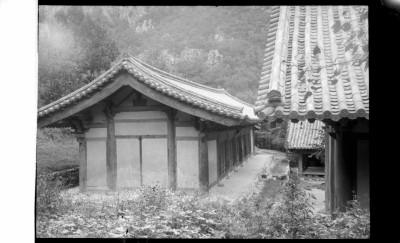 knd_01164()