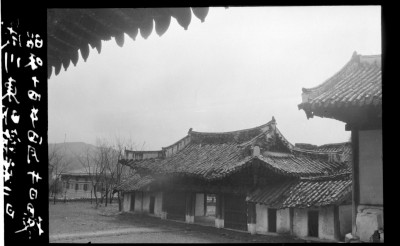knd_01249()