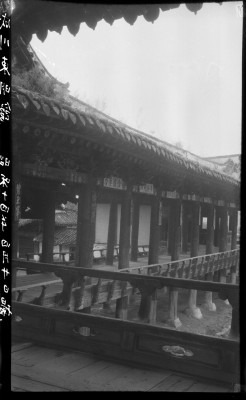 knd_01262()