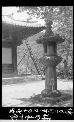 knd_01310()