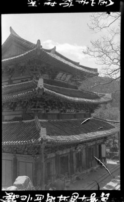knd_01312()