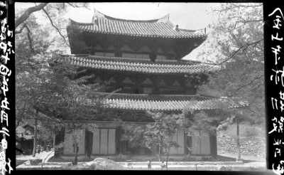 knd_01313()