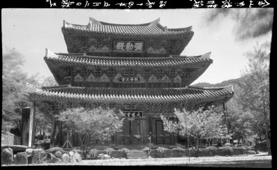 knd_01319()