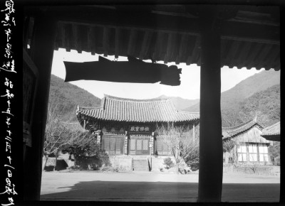 knd_01338()