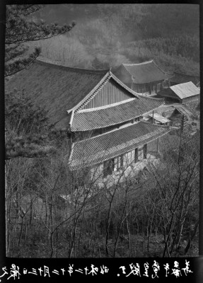 knd_01349()