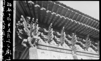 knd_01386()