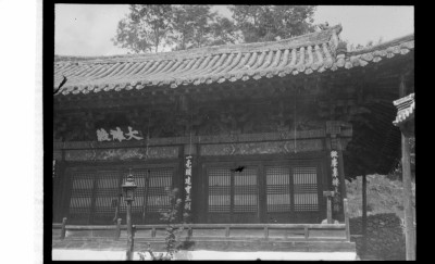 knd_01480()