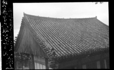 knd_01603()