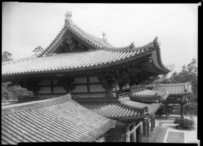 knd_01649()