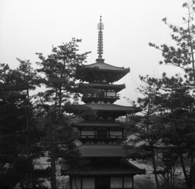 knd_27001()